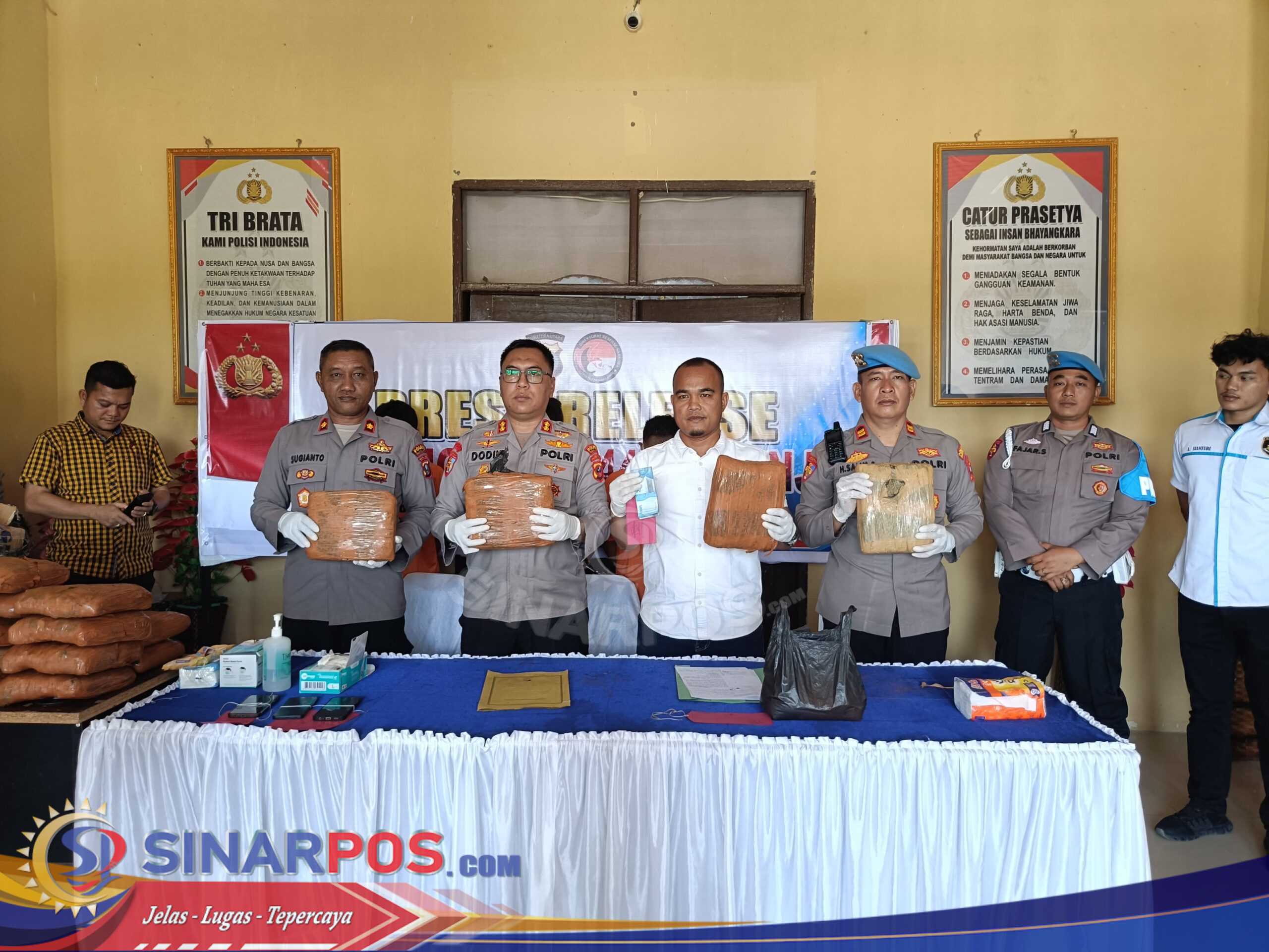 Polres Padang Lawas Ungkap Kasus Narkotika Gol 1 jenis Tanaman Ganja sebanyak 44 Kg Polres Padang Lawas Ungkap Kasus Narkotika Gol 1 jenis Tanaman Ganja sebanyak 44 Kg