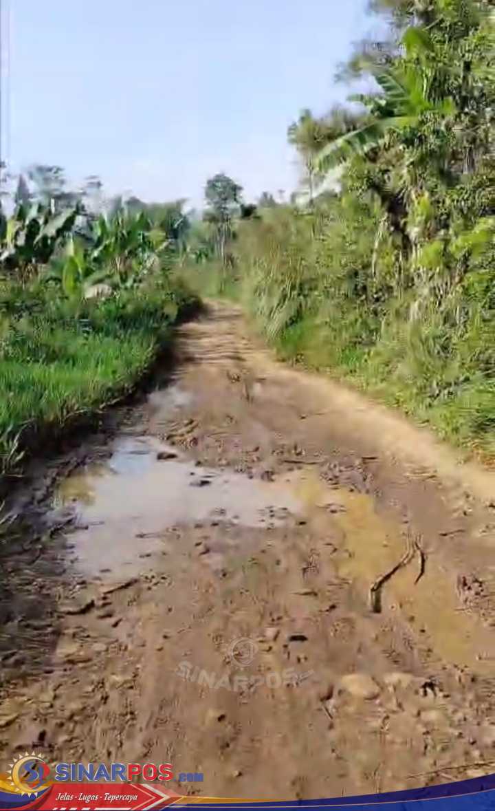Warga Jampang Tengah Keluhkan Jalan Rusak 10 Tahun Tak Tersentuh Perbaikan, Minta Pemerintah Segera Bertindak