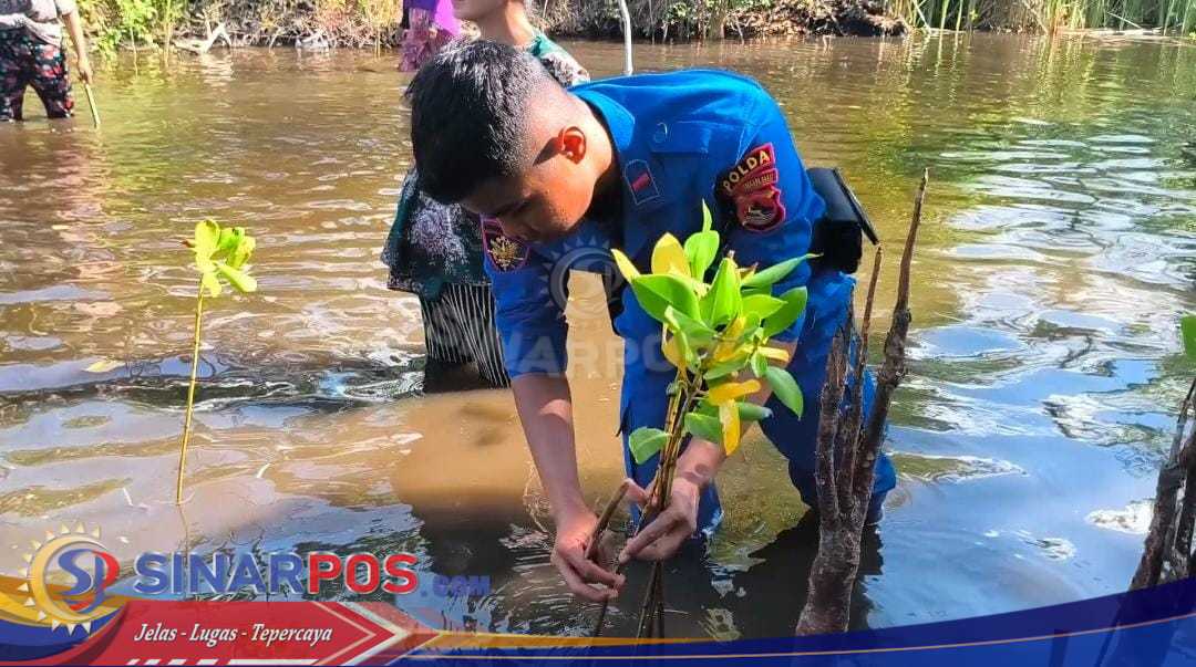Ditpolairud Polda NTB Hijaukan Pesisir, Tanam 200 Pohon Mangrove di Pantai Kokoq Pedeq