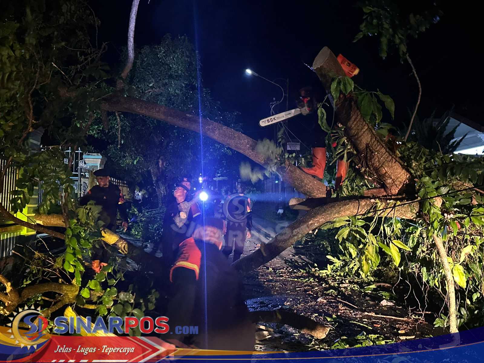 Brimob Polda Sumut Sigap Evakuasi Pohon Tumbang, Wujud Nyata Kehadiran di Tengah Masyarakat Pematangsiantar