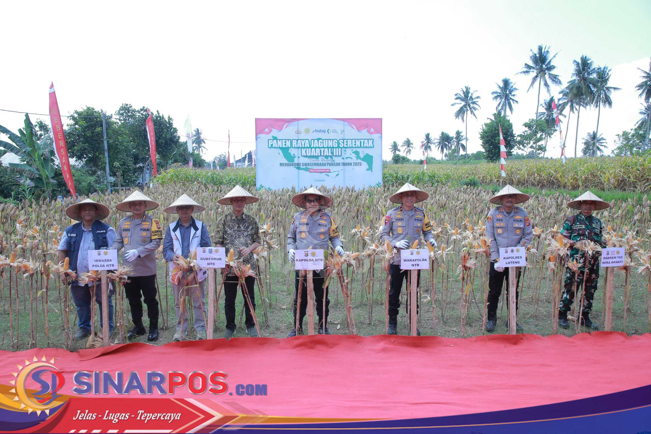 Kapolda NTB Irjen Pol. Hadi Gunawan Ikut Panen Raya Jagung Serentak Kuartal III