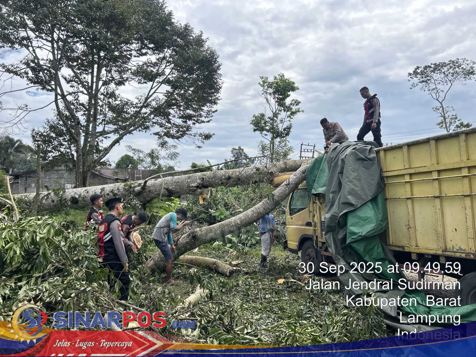 Sat Samapta Polres Lambar Evakuasi Pohon Tumbang Timpa Truk Pengangkut Barang