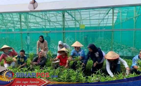Panen Sayur dan Vaksinasi Rabies Gratis, Pemkot Lubuk Linggau Dukung Gerakan Zero Rabies