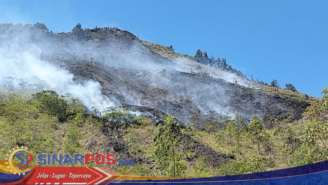 Kebakaran Hutan di Lereng Gunung Batur, Polsek Kintamani Bersama Instansi Terkait Lakukan Penanganan