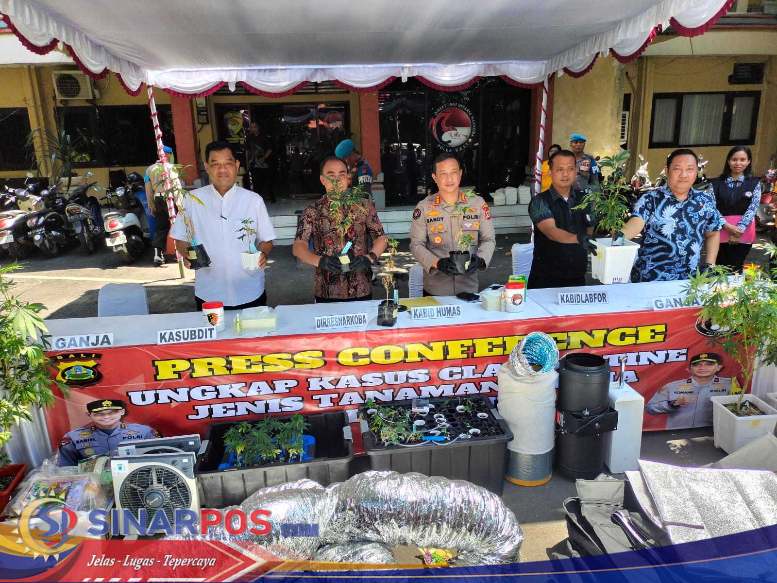 Grebek Kebun Ganja Polda Bali Amankan Dua WNA