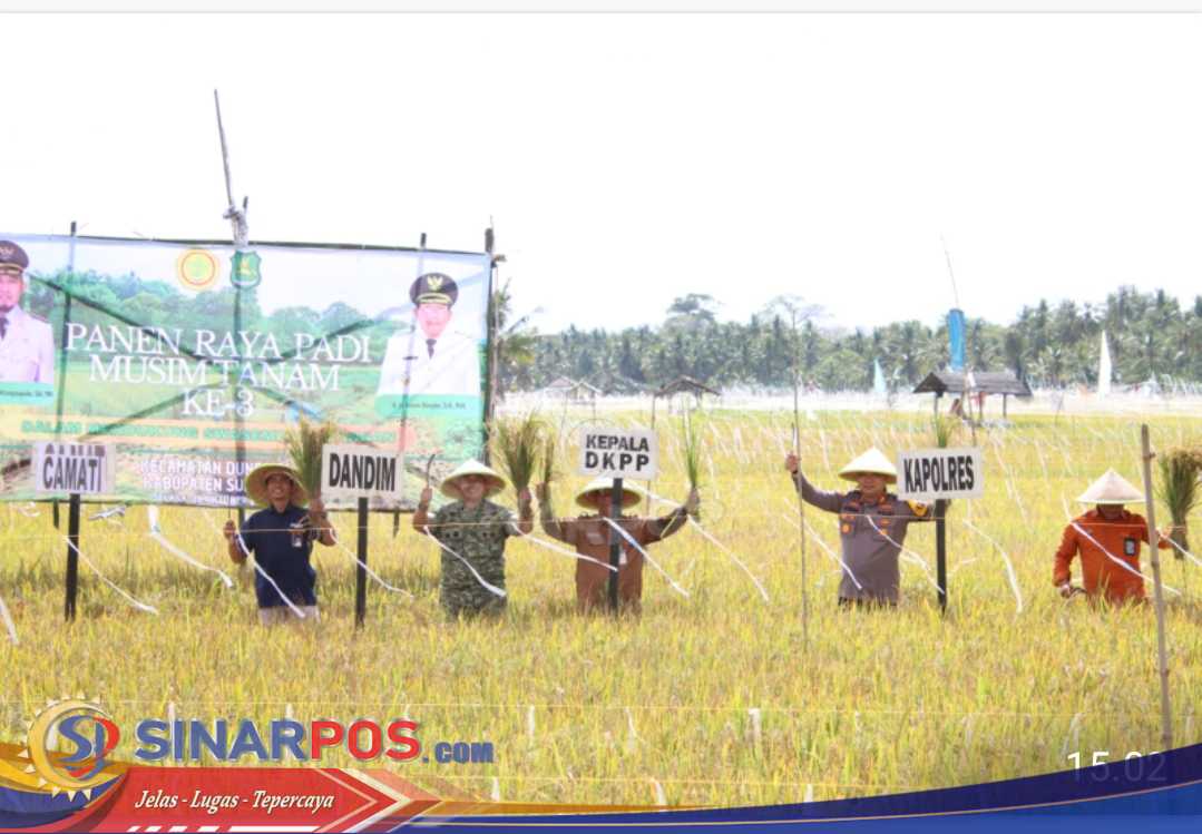 Dukung Program Swasembada Pangan, Kapolres Sumenep Hadiri Panen Raya Padi Musim Tanam Ke-3