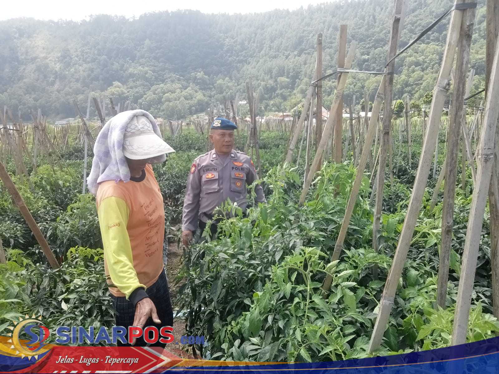 Sat Polairud Polres Bangli Sambangi Aktivitas Petani di Pesisir Danau Batur