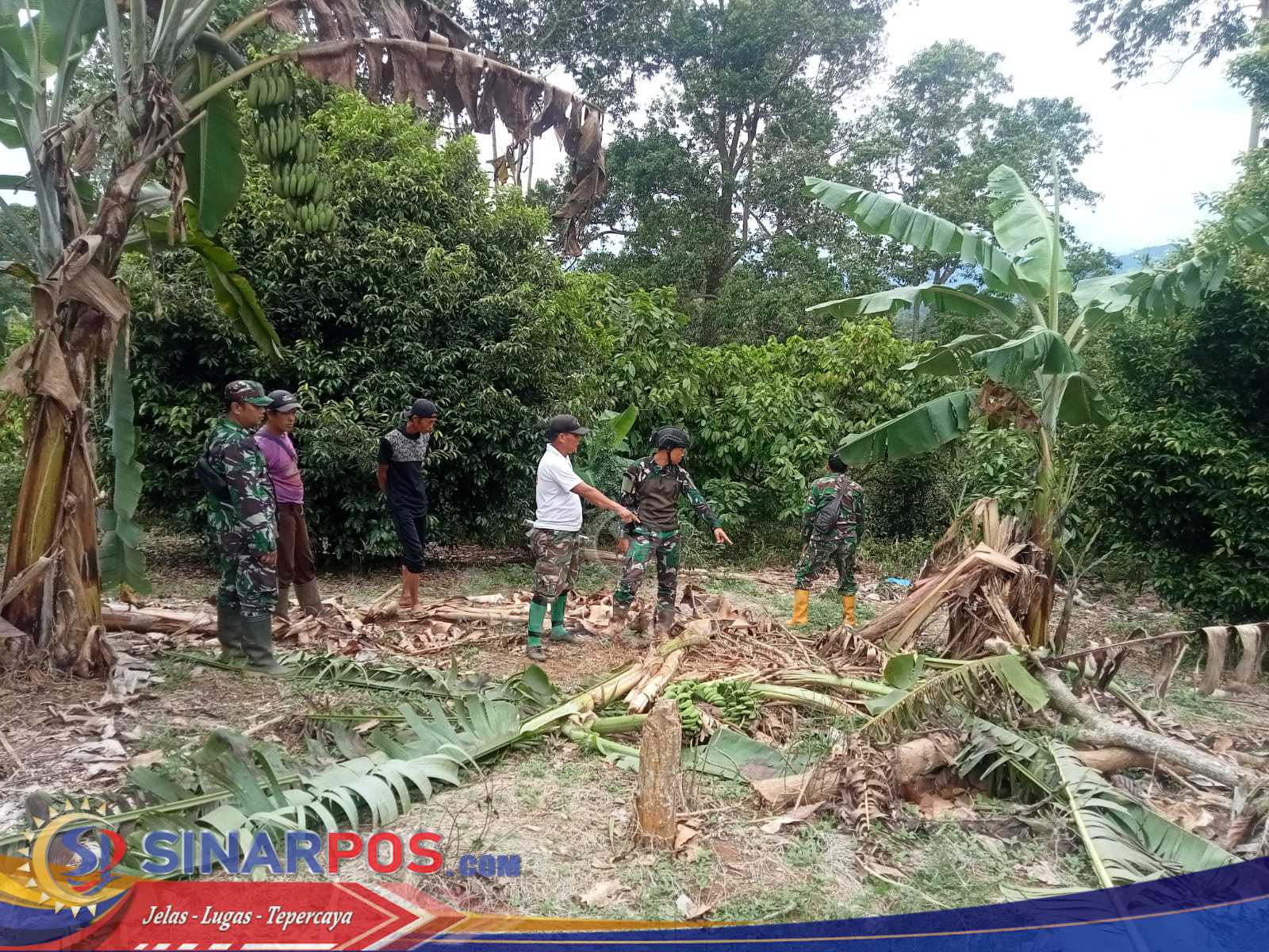 DANRAMIL 424-02/WONOSOBO BERSAMA ANGGOTA SIGAP PANTAU GAJAH MASUK PERKEBUNAN WARGA