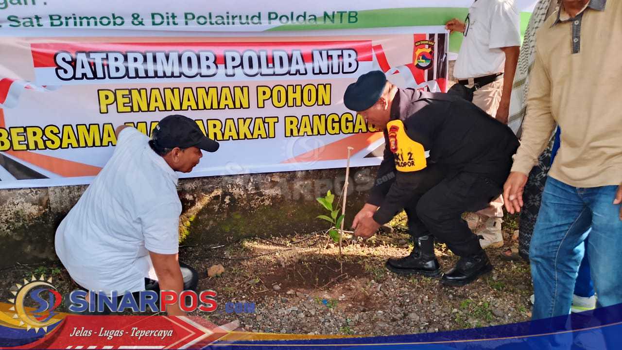 Meriahkan HUT Brimob dan HUT Polairud, FSKR Sebar Ribuan Bibit Nangka Hijaukan Ranggagata