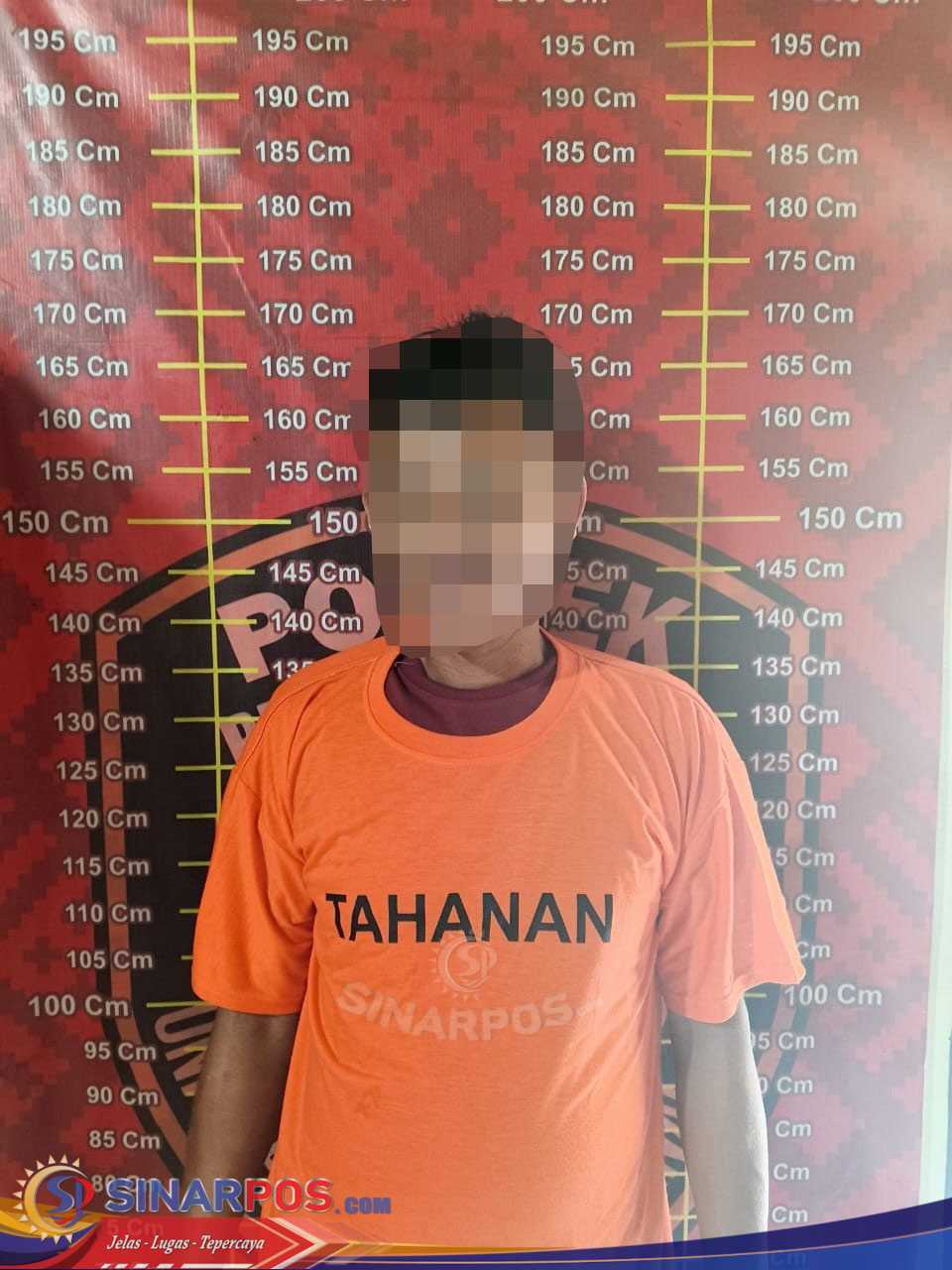 Polsek Penawartama Berhasil Ungkap Sindikat Pencurian Sawit, Dua Pelaku Dibekuk Bersama Mobil Grand Max Bermuatan BB