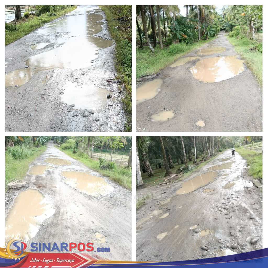 Warga Keluh Kan Jalan Rusak Parah Di Pemangku Kampung Sawah Kec Pesisir Selatan: Tak Ada Perhatian Dari Pemerintah Daerah