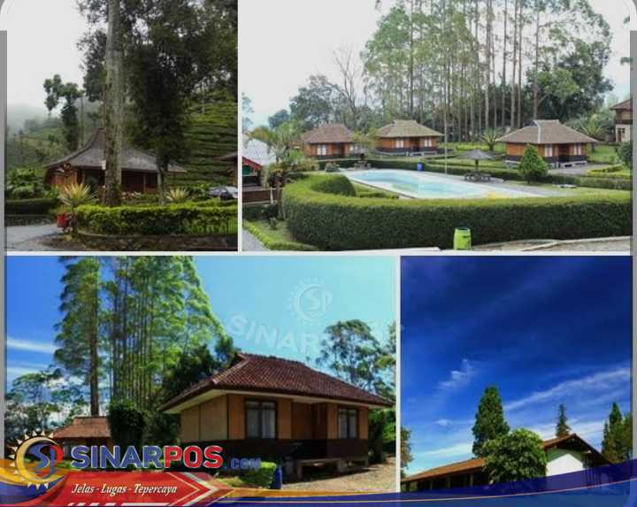 PTPN I regional 2 Perkuat Pengembangan Agrowisata Menuju Destinasi Kelas Dunia