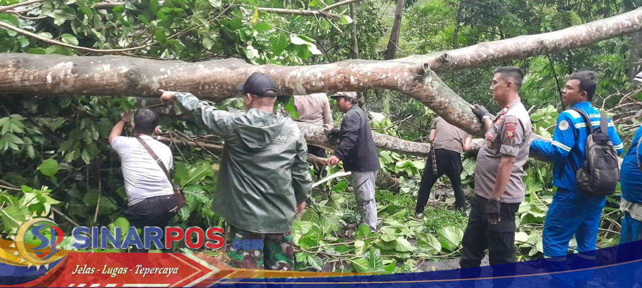 Respon Cepat Polisi Di Purwakarta Lakukan Penanganan Longsor Yang Menutupi Jalan