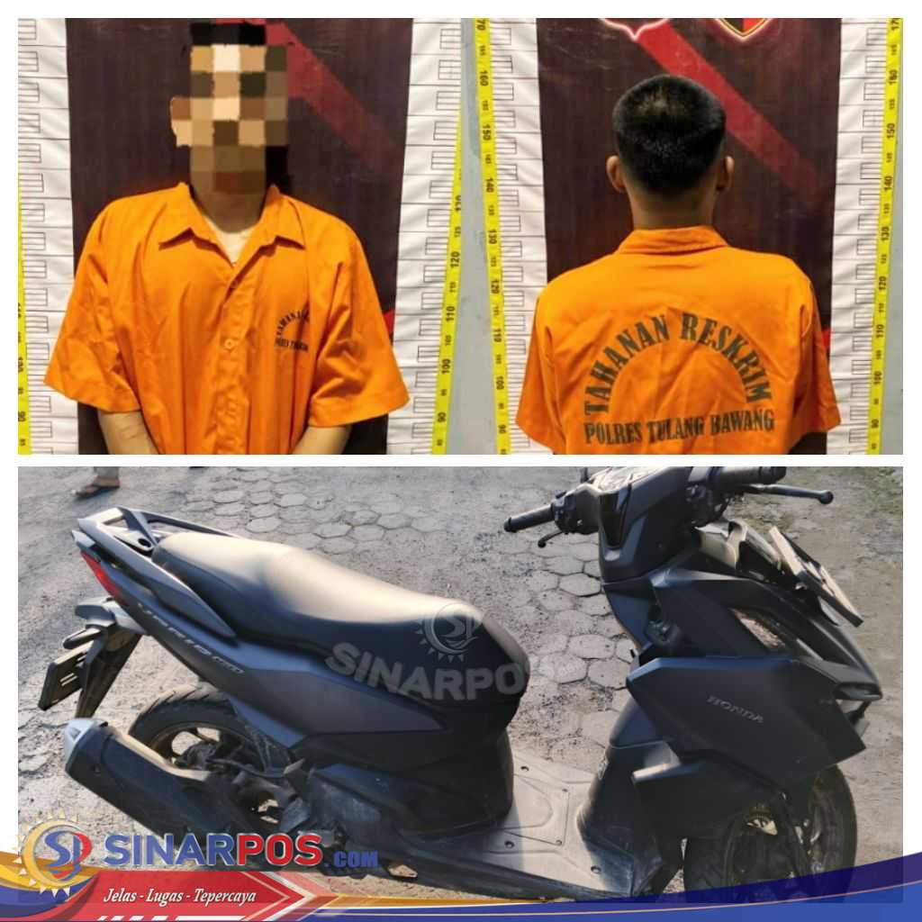 HEBOH! Pelajar SMK Ditemukan Tewas Membusuk di Perkebunan Sawit, Polisi Bongkar Fakta Mengerikan