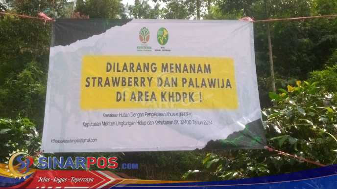 Ketua LM‑DH Ngajiman dan Ketua KTH Acep Irawan Sosialisasikan Himbauan Pelestarian Hutan Lindung BPKH Ciwidey