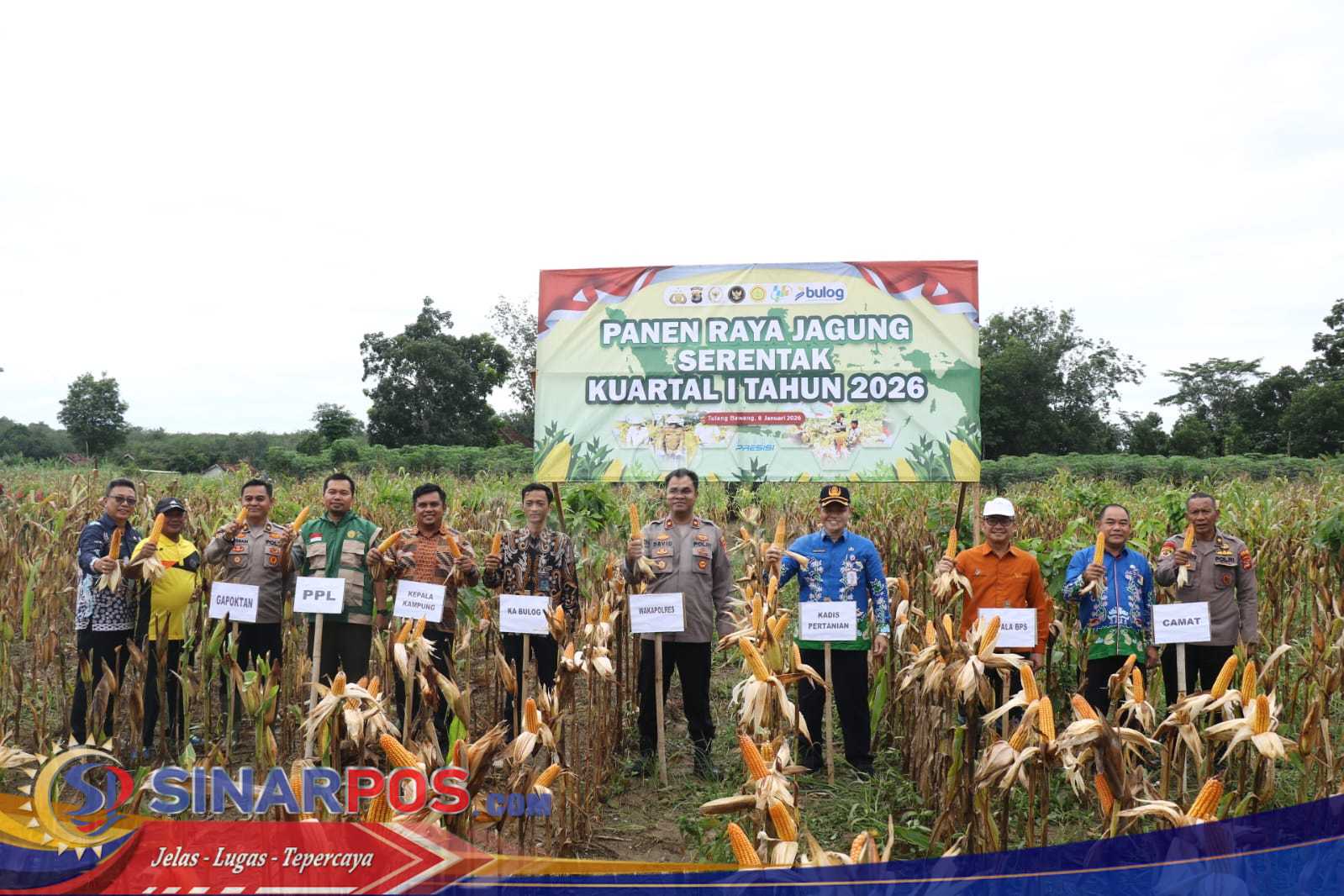 Polres Tulang Bawang Tancap Gas Dukung Ketahanan Pangan Nasional, Panen Raya Jagung Serentak Kuartal I 2026 Digelar Meriah