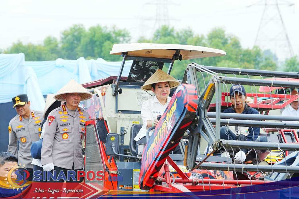 Dukung Ketahanan Pangan Nasional, Polda Sumut dan Polres Jajaran Ikuti Panen Raya Jagung Serentak Polri