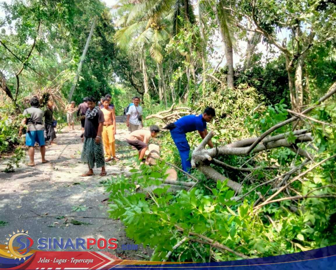Personel Ditpolairud Polda NTB Bantu Warga Singkirkan Pohon Tumbang di Lombok Barat