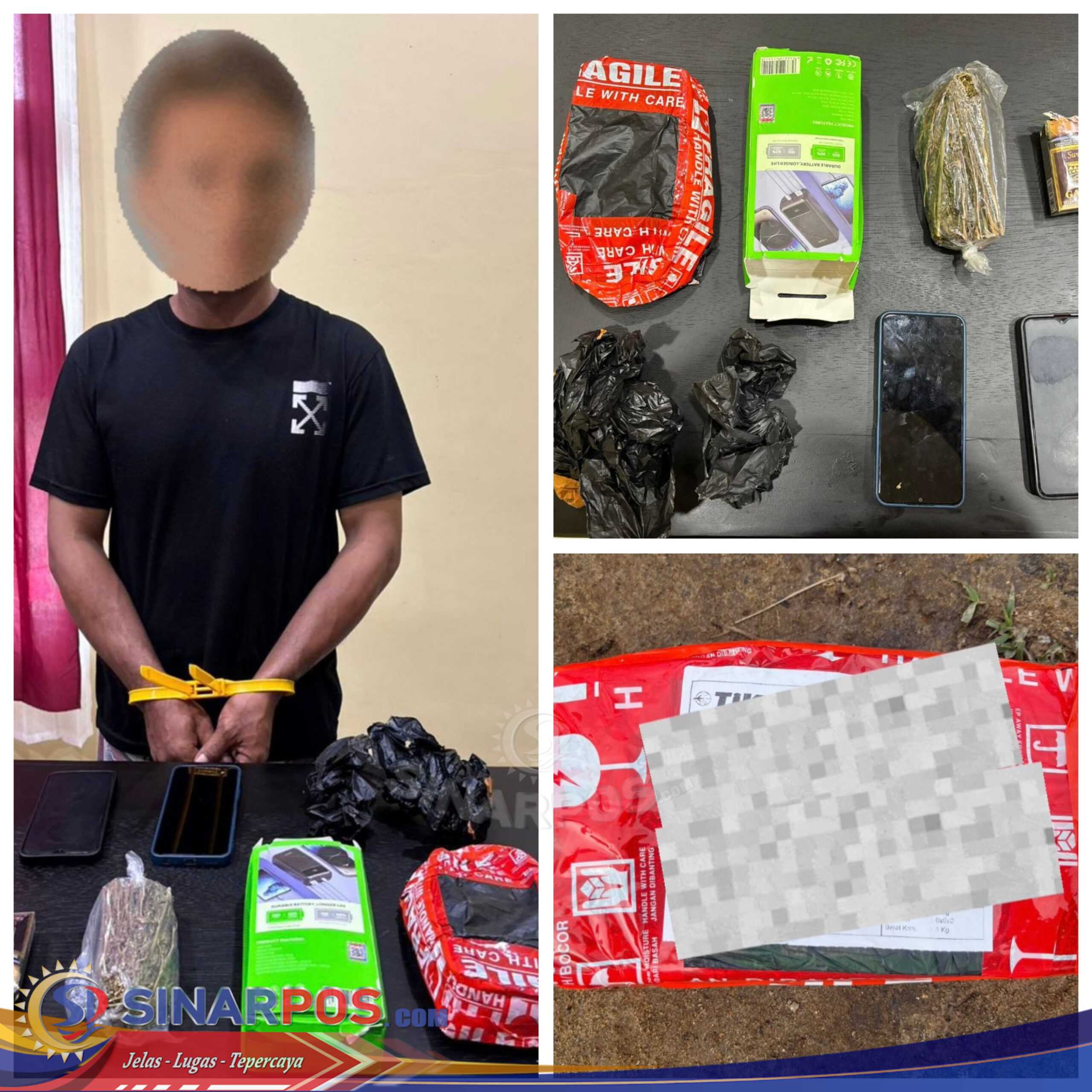 Satresnarkoba Polres Katingan Ungkap Kasus Ganja, Satu Pengedar Diamankan