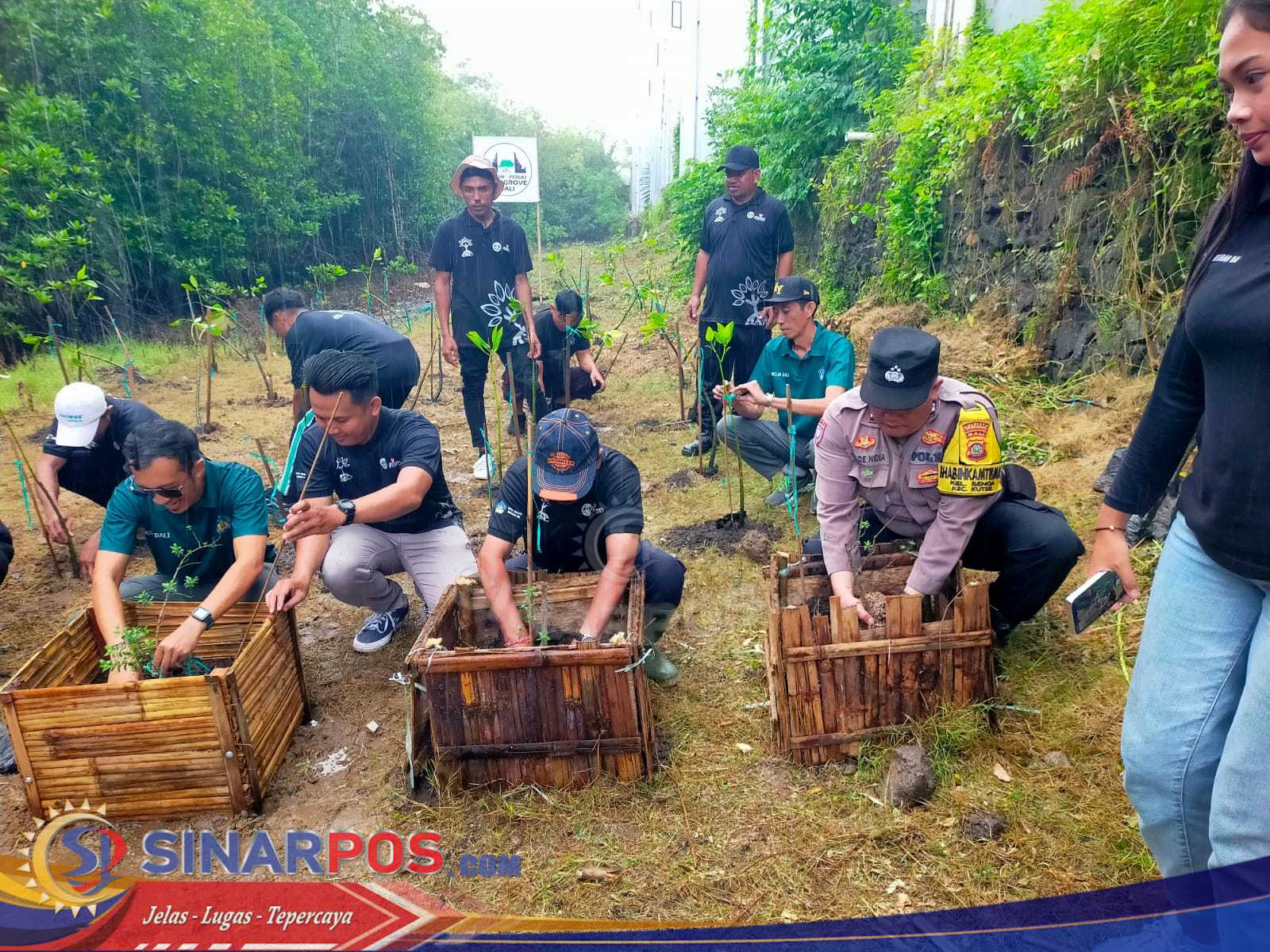 Polsek Kuta Selatan Laksanakan Penanaman Mangrove Peringati Hari Lahan Basah Sedunia