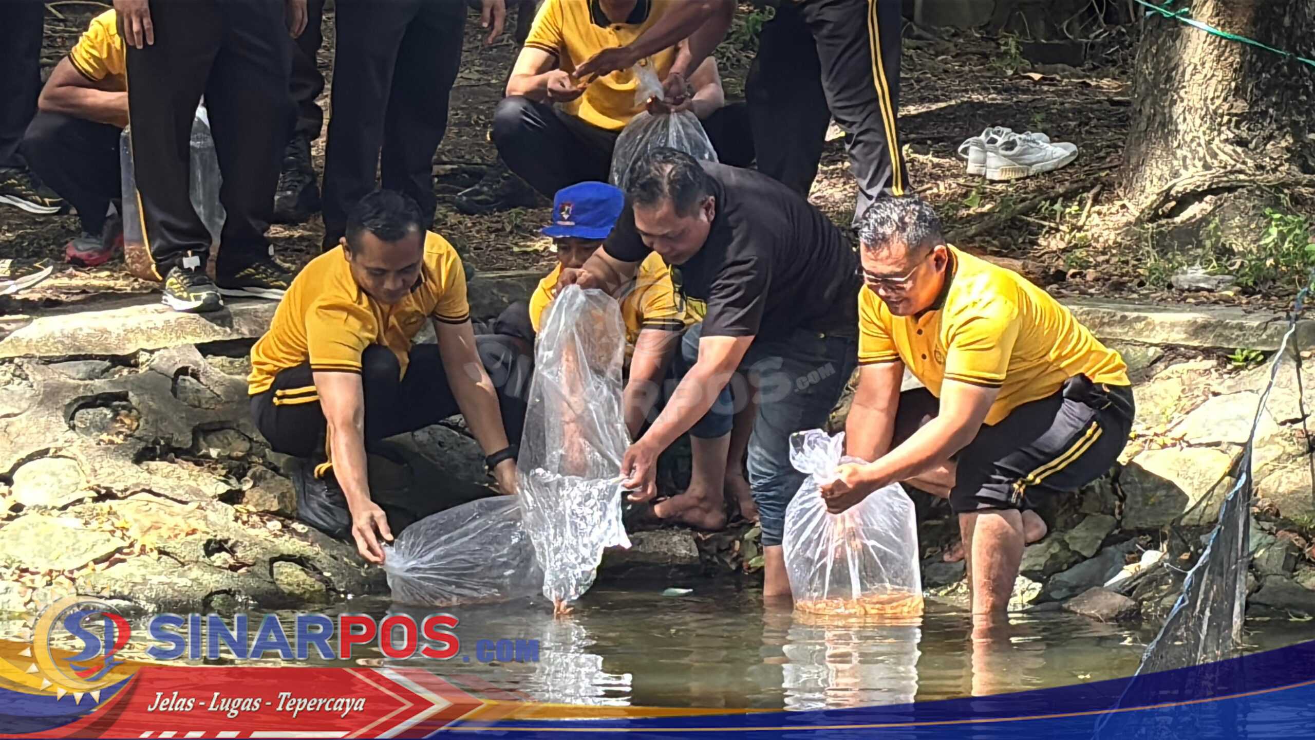 Ditpolairud Polda NTB Dukung Ketahanan Pangan melalui Tabur Benih Ikan di Kolam Loang Baloq