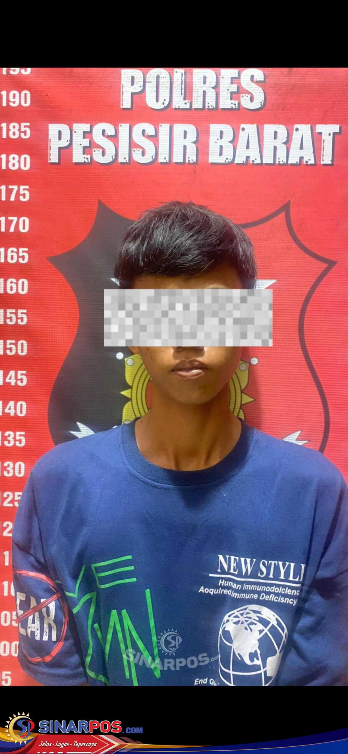 SAT RESKRIM POLRES PESISIR BARAT AMANKAN BURONAN KASUS PENGEROYOKAN ANAK HINGGA TEWAS