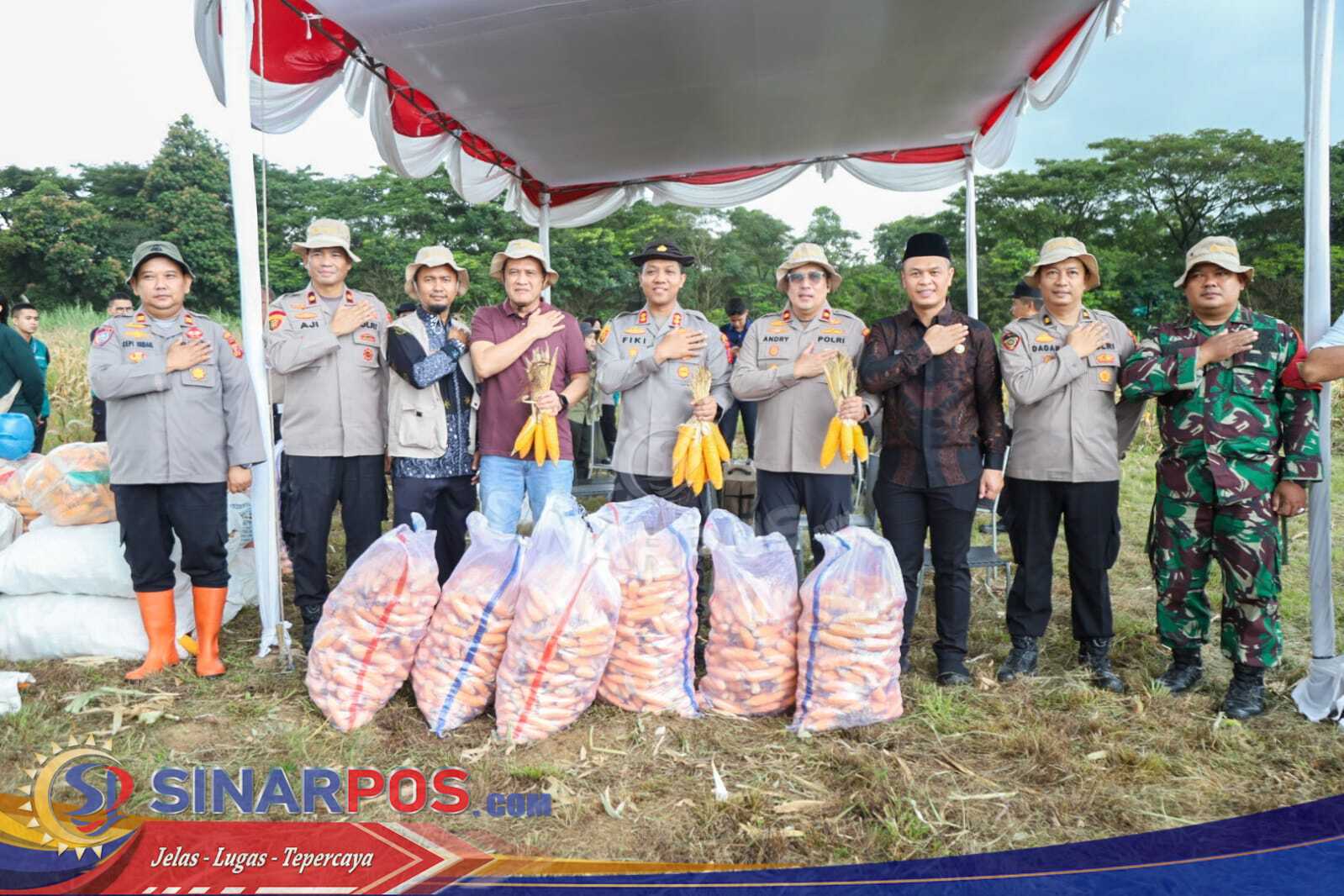 Dukung Ketahanan Pangan, Polres Karawang Panen Raya 28 Ton Jagung Pipil Kering