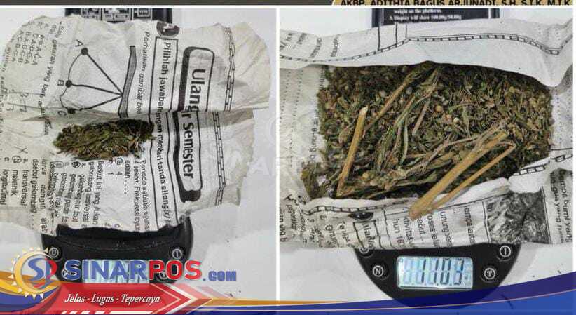 Satres Narkoba Polres Lubuk Linggau berhasil mengamankan seorang pemuda berinisial SR