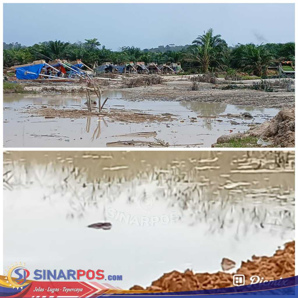 PETI Menggurita di Bungo, Warga Khawatir Bencana Tinggal Menunggu Waktu