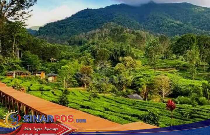 Agrowisata PTPN 1 REGIONAL 2 Gunung Mas Siap Sambut Lonjakan Pengunjung Idul Fitri 2026 Agrowisata PTPN 1 REGIONAL 2 Gunung Mas Siap Sambut Lonjakan Pengunjung Idul Fitri 2026