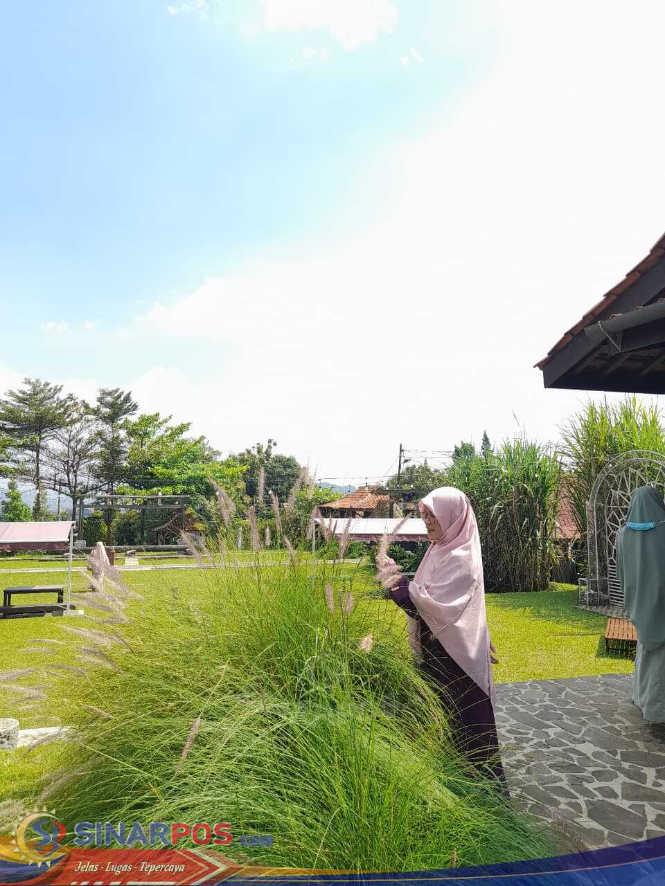 Nasib P3K di Ujung Tanduk: Antara Harapan Guru Honorer dan Ancaman PHK