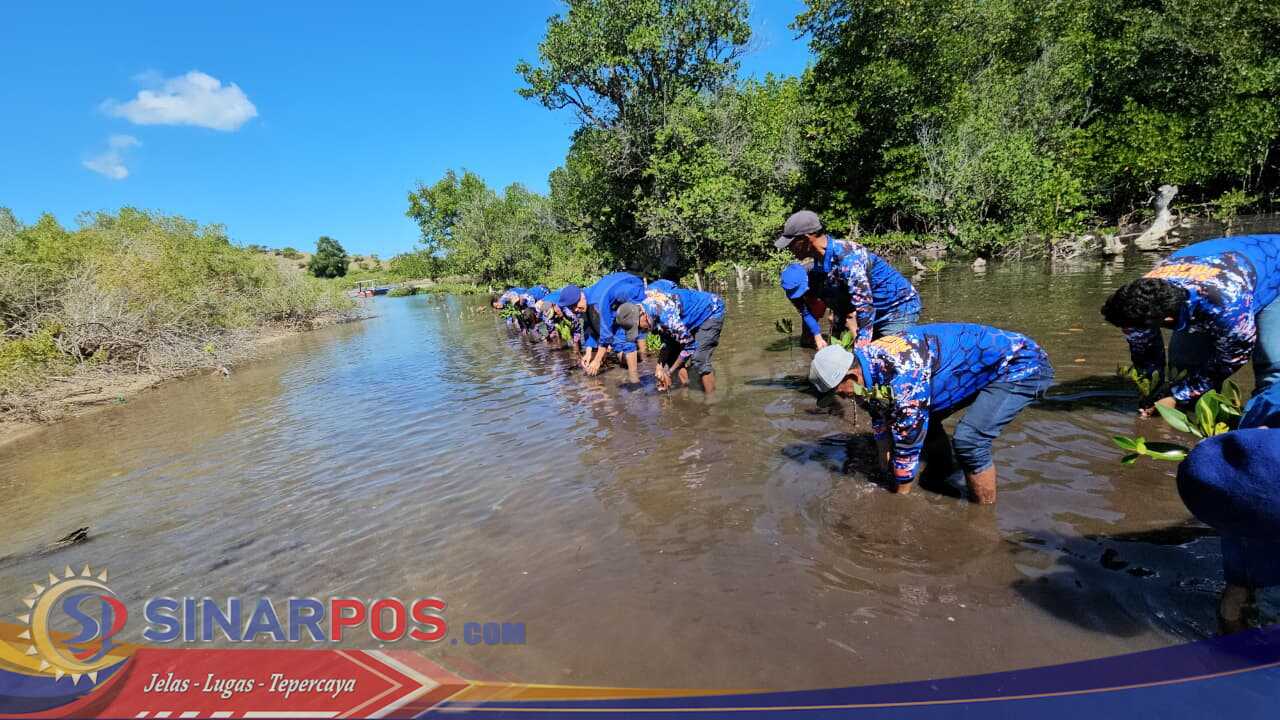 Sahabat Polairud NTB Beraksi: Tanam Mangrove dan Bersih Pantai di Poto Tano