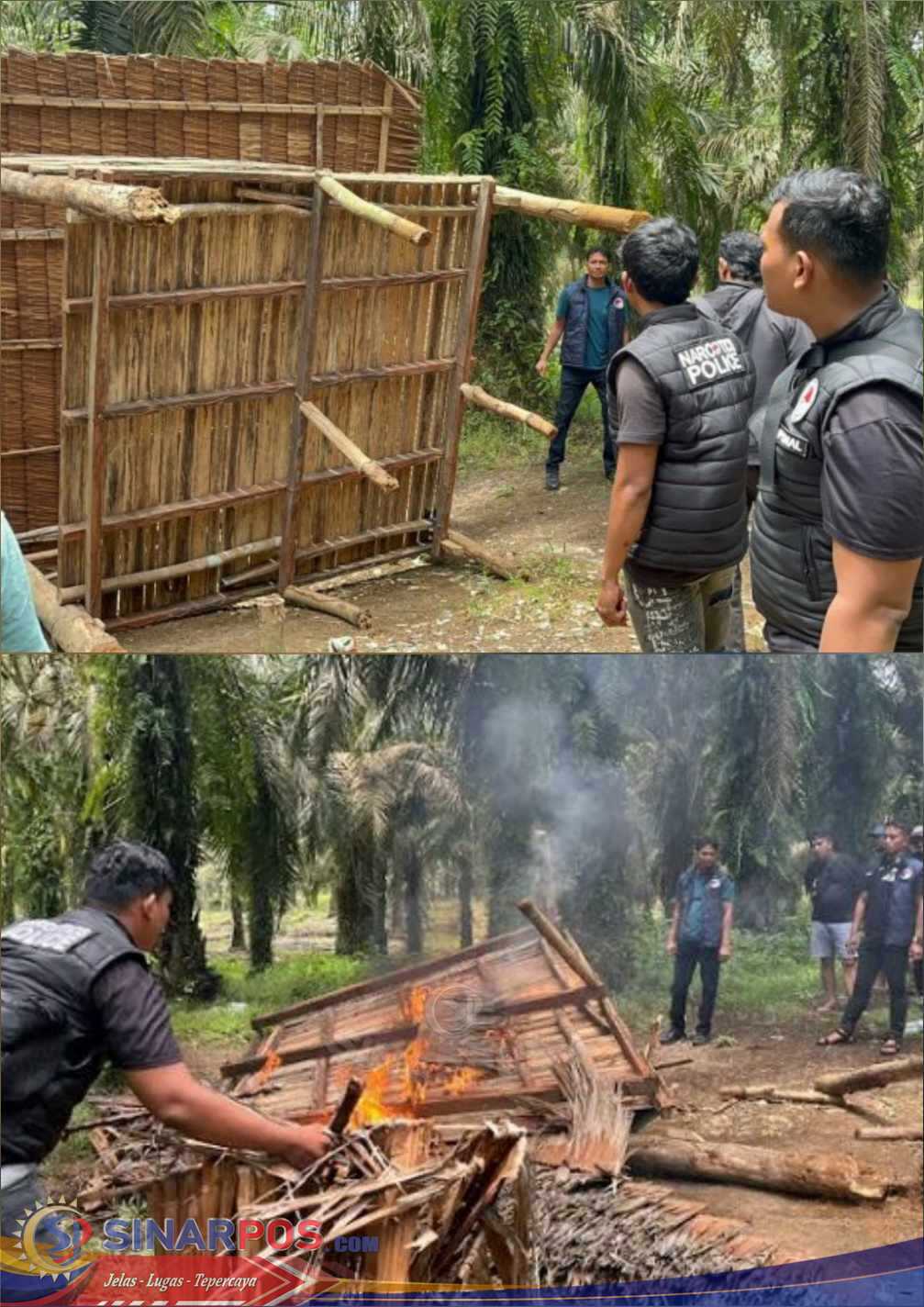 Kembali Lagi! Polres Binjai Gerebek dan Bakar Barak Narkoba di Kecamatan Selesai